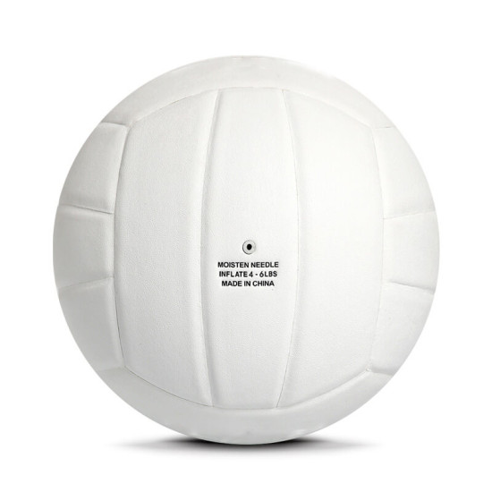 Match Volley Ball