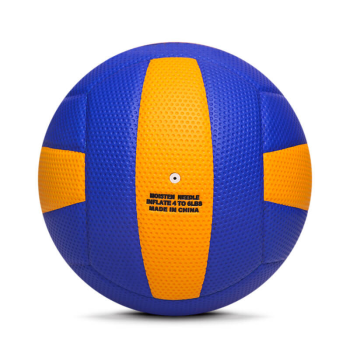 Match Volley Ball