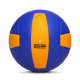 Match Volley Ball