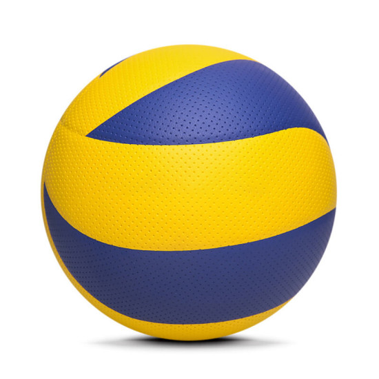 Training Volley Ball