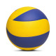 Training Volley Ball