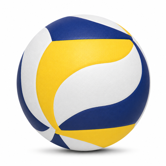 Training Volley Ball