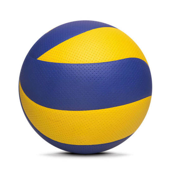 Training Volley Ball