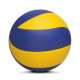 Training Volley Ball