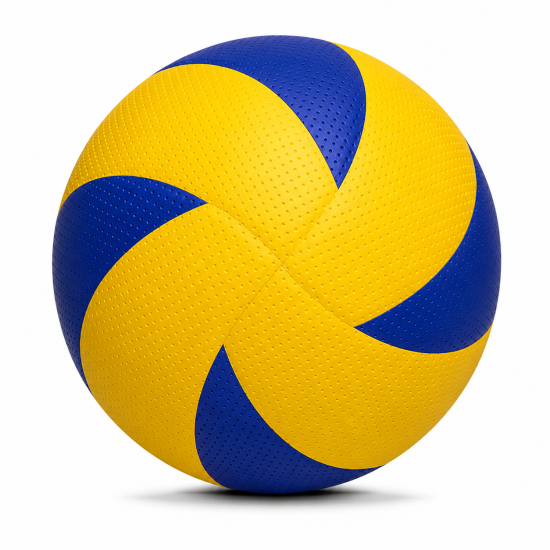 Training Volley Ball