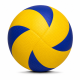 Training Volley Ball