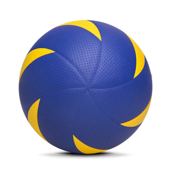 Training Volley Ball
