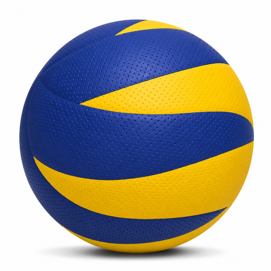 Training Volley Ball